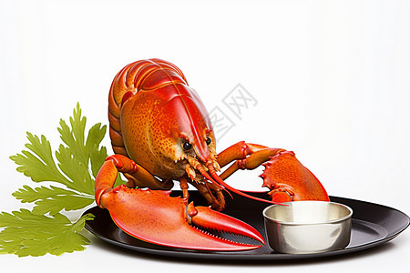 餐盘中新鲜的龙虾图片