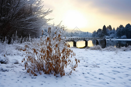 寒冷的雪景图片