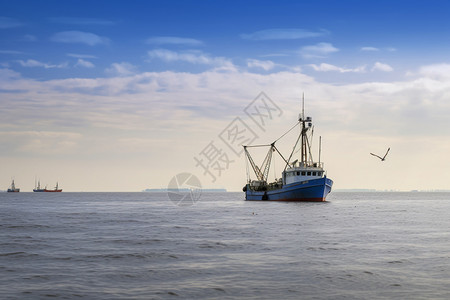 起航的拖网渔船图片