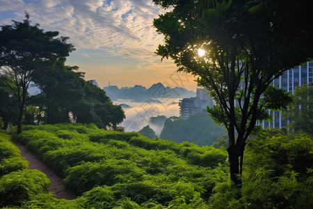 绿色的热带雨林图片