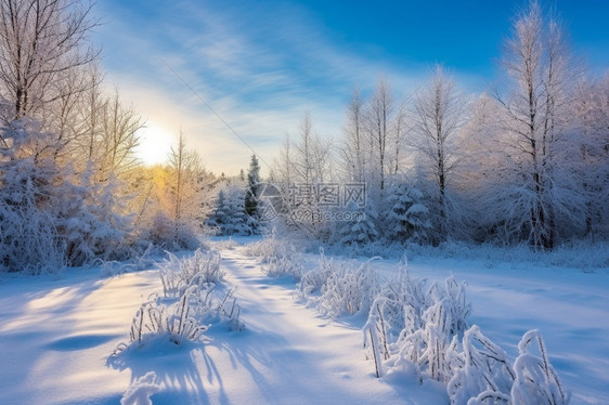 落日的雪地图片