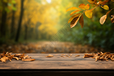 芒种风景秋天户外的风景设计图片