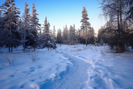 寒冷的雪地图片