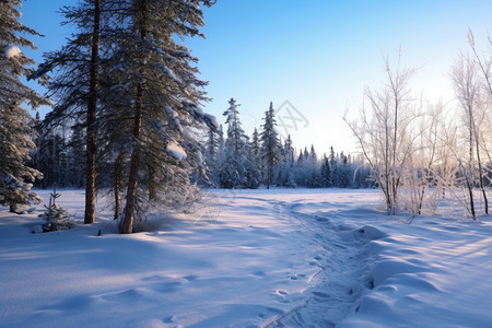 平整的雪地图片