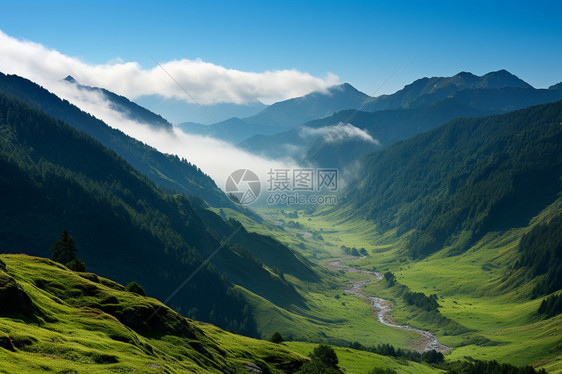 湿润的山谷图片