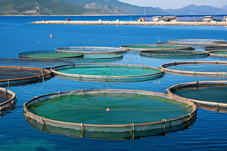 水产养殖圆形的渔网背景