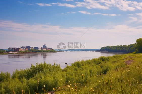 花草的海岸线图片