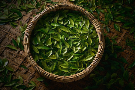 新鲜的绿茶背景图片