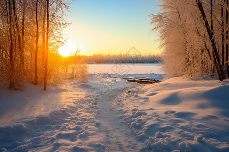 雪地唯美风景图片