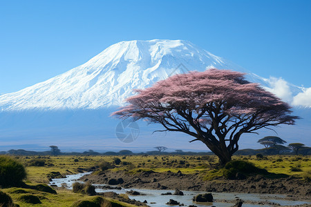 火山下的草原图片