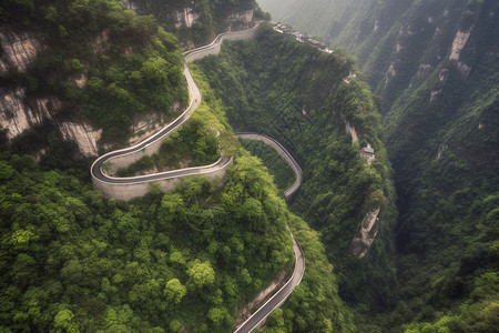 蜿蜒的道路图片