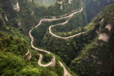 弯曲的道路图片