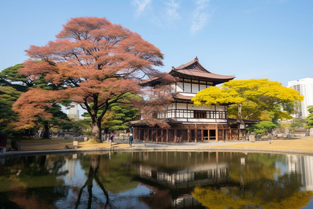 夏季城市中历史建筑景观图片