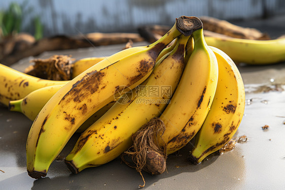 放时间长的香蕉水果图片