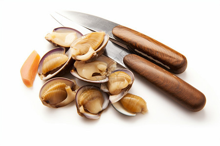 健康的贝壳美食图片