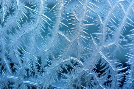 美丽的雪花纹理图片