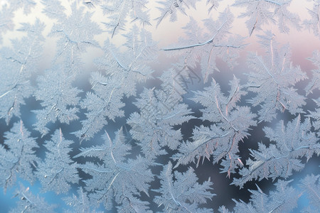 雪花的结晶图片