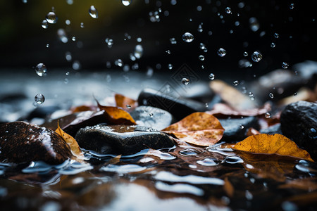 鹅卵石上滴落的雨滴图片