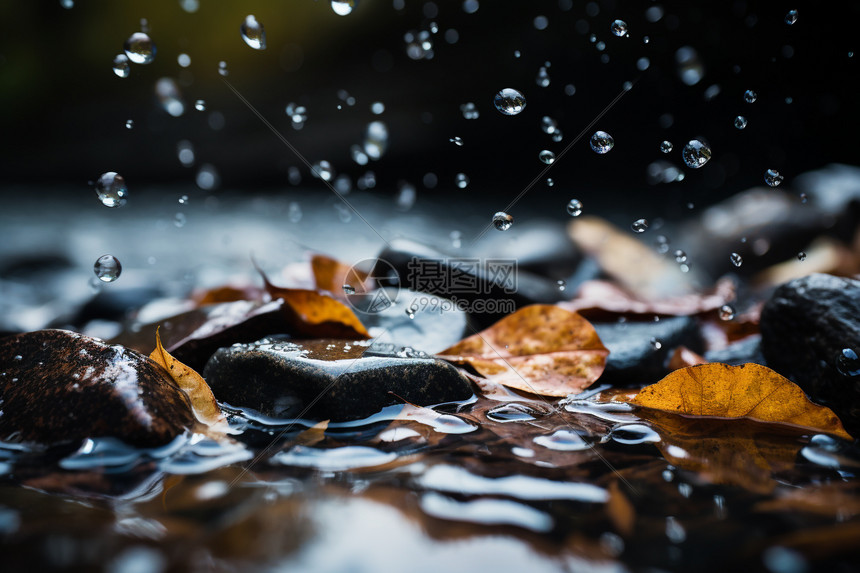 鹅卵石上滴落的雨滴图片