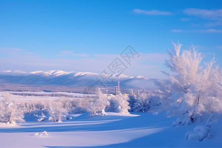 白色的雪图片