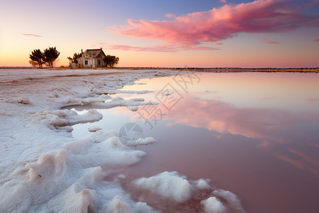 著名的粉色盐湖图片