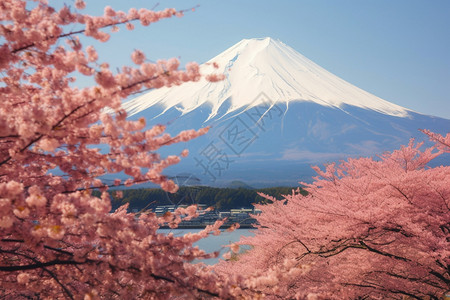 富士山美丽的风景图片