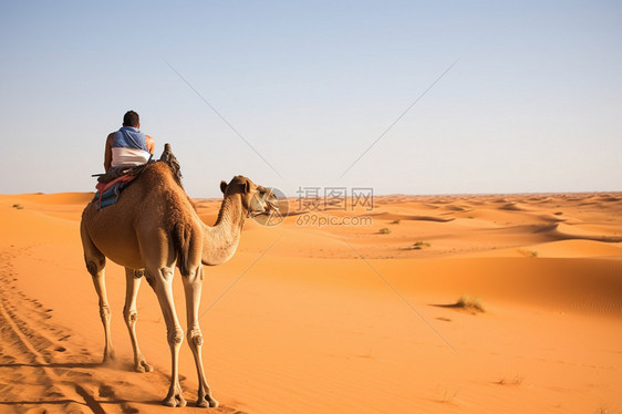 沙漠旅行的人图片