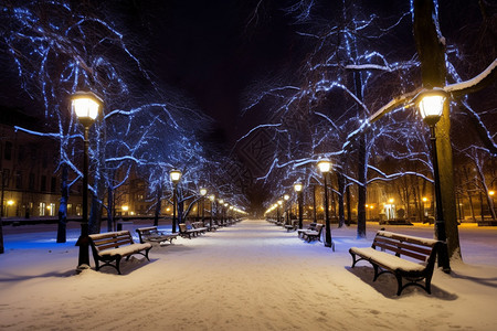 雪花灯公园雪地上的凳子背景