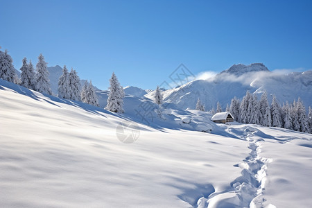 大雪覆盖的山林图片