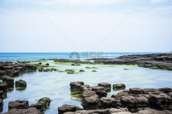 广阔的海洋图片