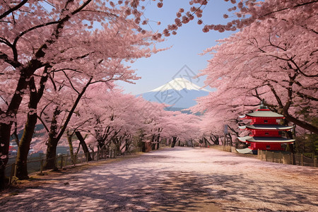 樱花树树林图片