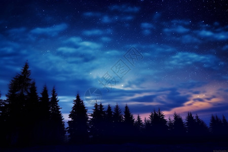 森林闪耀的天空图片
