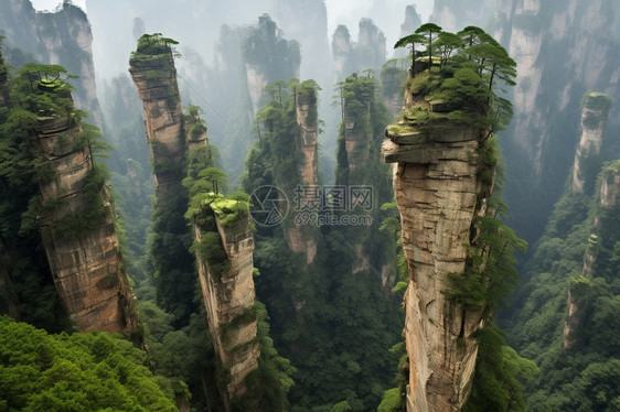 郁郁葱葱的的山峰图片