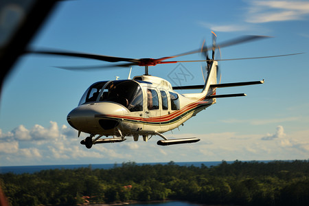 运输直升机森林上的直升机背景
