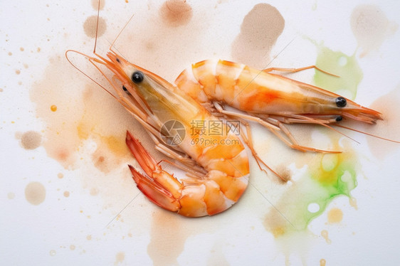 健康营养的海鲜虾图片