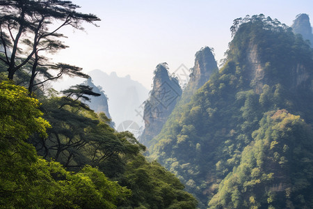 高大的山峰图片