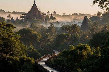 热带地区森林的美丽景观图片