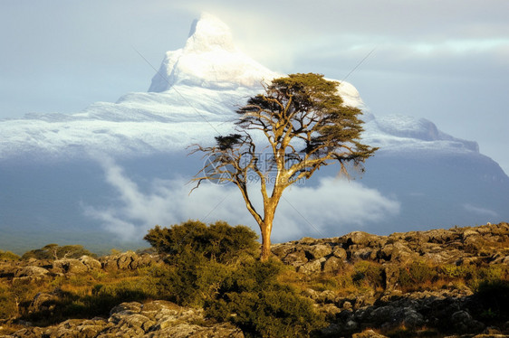 夏季肯尼亚山脉的美丽景观图片