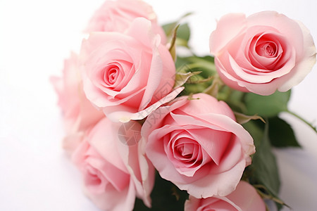 浪漫美丽的玫瑰花束背景图片