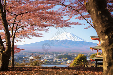 东京富士山的美丽景观图片