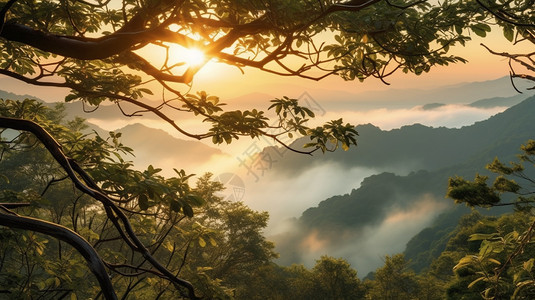 宁静朦胧的云海背景图片