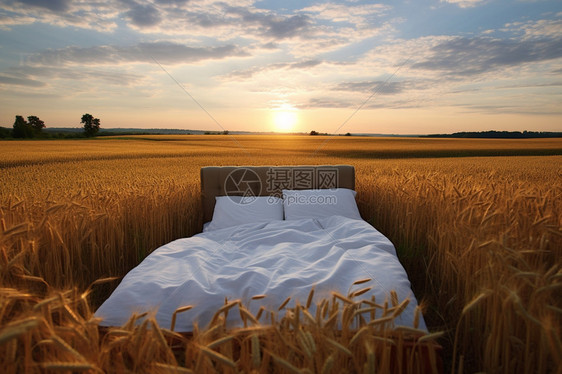 日出时田野中的床具图片