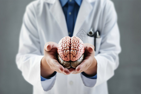 大脑医生拿着大脑模型的医生背景