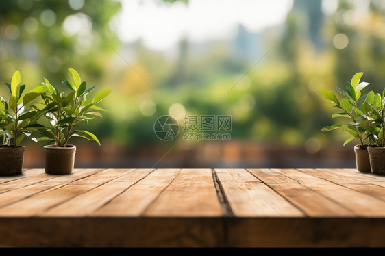 木板上的绿色植物图片
