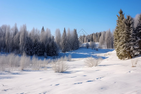 冬季户外的雪景图片