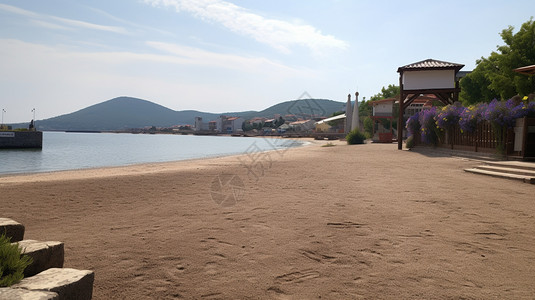 夏天海滨浴场的景观图片