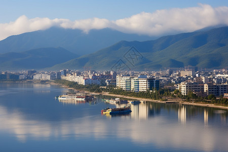 大理洱海飞鸟云南洱海背景