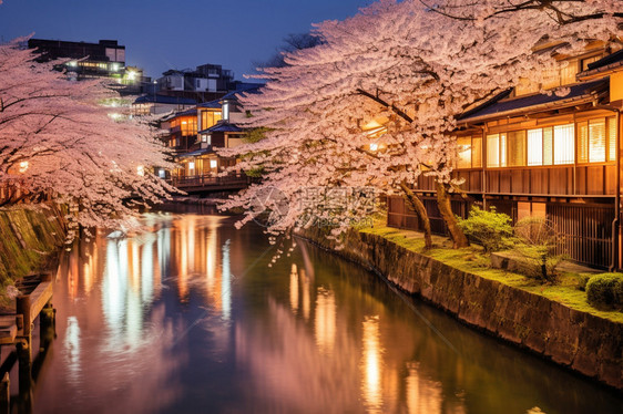 京都城市景观图片
