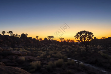 纳米比亚的黄昏图片