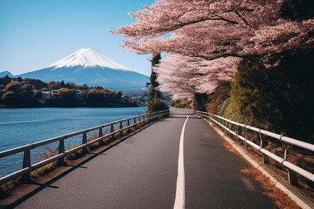 富士山下的樱花图片